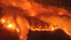 Bursa’da yanan ormanlık alan için “ÇED gerekli değil” kararı alınmış, maden sahası ilan edilmiş