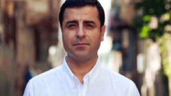 DEM Parti Eş Genel Başkan Yardımcısı Türkdoğan: Sayın Demirtaş’ın önümüzdeki hafta yapılacak incelemede tahliye edilmesini bekliyoruz