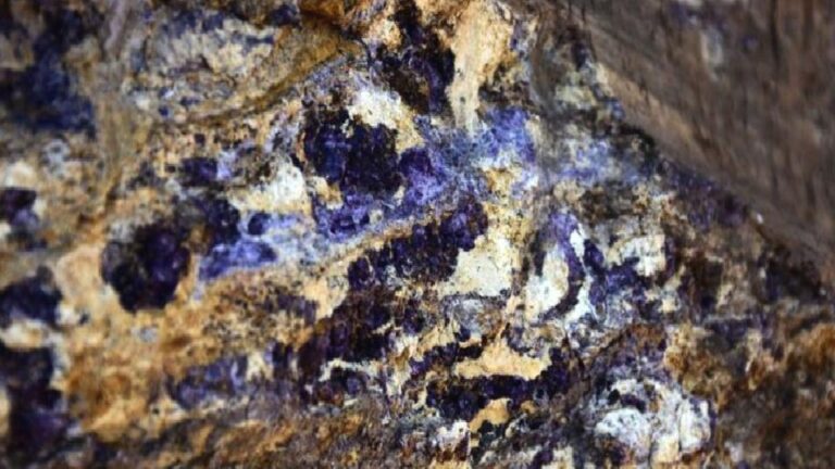 Japonya, nadir toprak elementlerine erişim için Çin’den güvence bekliyor