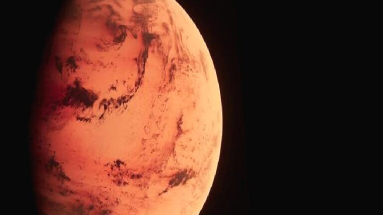 Mars’tan gelen ve dünyaya düşen en büyük gök taşı New York’ta 5,3 milyon dolara satıldı