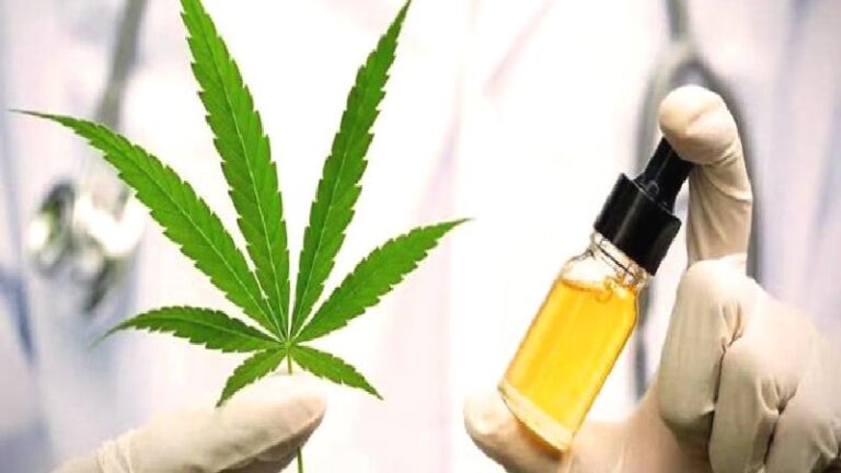 Tıbbî kenevir teklifi yasalaştı: Hangi ürünlerde kullanılacak, nerelerde satılacak?
