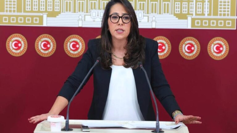 TİP’li Kadıgil’den “maden yasası” tepkisi: Bu ülkede maden şirketlerinin devleti var ama halkın bir devleti yok