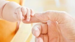 Türkiye nüfusu 2100 yılında TÜİK’e göre 54 milyona, BM’ye göre 38 milyona düşebilir