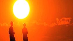 Türkiye’de tüm zamanların sıcaklık rekoru 25 Temmuz’da 50,5 dereceyle Silopi’de kırıldı