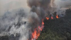 Çanakkale Gelibolu’daki orman yangını üçüncü güne girdi; büyük ölçüde kontrol altına alındı