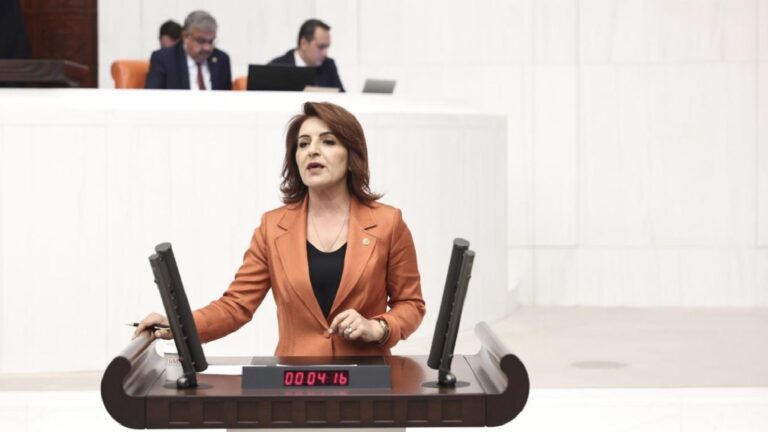 CHP’li Gülcan Kış: Muhalefetin verdiği 1300 kanun teklifi gündeme alınmadı