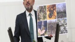 CHP’li Veli Ağbaba: Çiftçinin banka borçlarını ve tarımsal kredilerini faizsiz olarak erteleyin