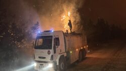 Edirne Enez’de çıkan orman yangınına müdahale ediliyor: İki ev alevler nedeniyle zarar gördü, bazı yazlıklar önlem olarak boşaltıldı