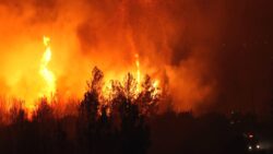 İzmir Buca’daki orman yangını ikinci gününde: Alevler Gaziemir ilçesine ulaştı!