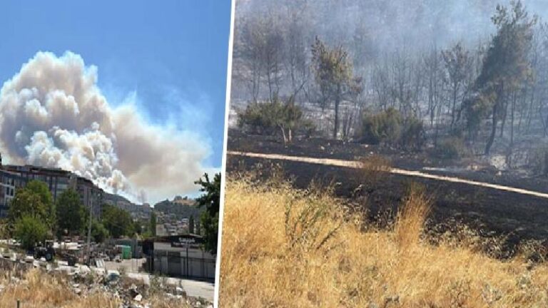 Manisa Soma’da çıkan orman yangınına müdahale sürüyor: Kozanlı Mahallesi tahliye edildi, 1 kişi gözaltında