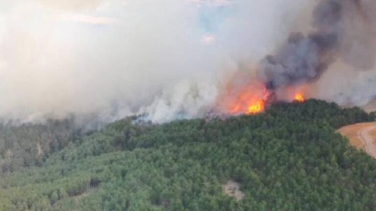 Mudurnu’daki orman yangınına ilişkin 1 kişi tutuklandı