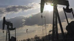 Çin zirvesinin ardından petroldeki düşüş sürüyor