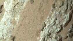 Mars’ın ‘leopar desenli’ kayalarında geçmiş yaşamın izleri bulunmuş olabilir