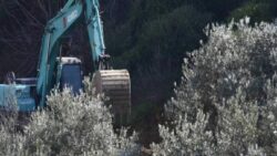 Muhalefet partileri, zeytinlikleri madene açan kanunun durdurulması ve iptali için AYM’ye başvurdu