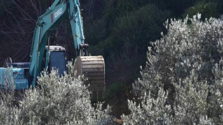 Muhalefet partileri, zeytinlikleri madene açan kanunun durdurulması ve iptali için AYM’ye başvurdu