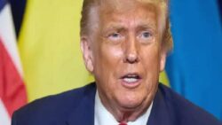 Rusya’dan Trump’ın “kâğıttan kaplan” sözüne “ayı” yanıtı