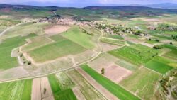 Süreç bugün başlıyor: İşte 5 soruda ekilmeyen arazi düzenlemesi