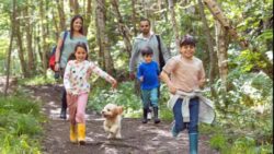 20 dakika bile yeter: Doğada olmanın vücuda dört faydası