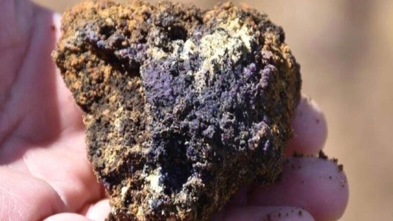 Bakan Bayraktar: Eskişehir’deki nadir toprak elementleri için 2026’da fabrika kurulacak