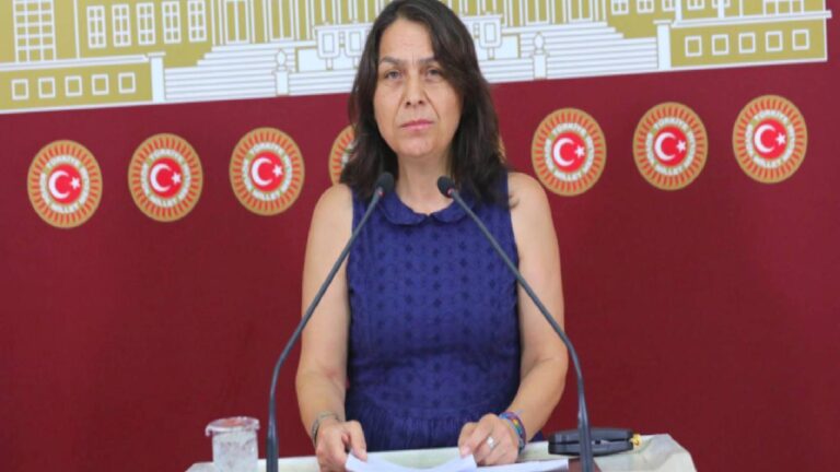 DEM Partili Saki’den LGBTİ+’lara hapis öngören 11. Yargı Paketi çıkışı: Bu yasayı geri çekeceksiniz!