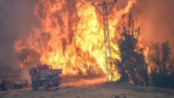 Eskişehir orman yangınları raporu: Koordinasyon eksikliği, ekipman yetersizliği, yetersiz hava araçları…