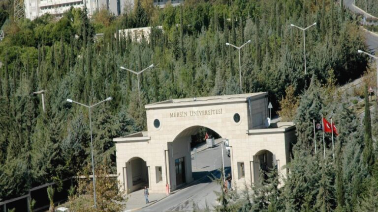 Sayıştay’ın Mersin Üniversitesi raporu: Dolu olan 29 kadroya tedviren yeni personel atandı, yüksekokul mezunu şube müdürü oldu