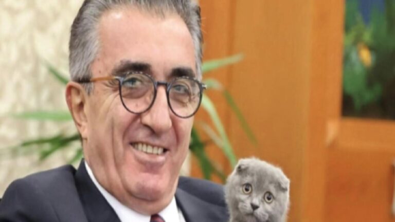 İddia: Tutuklu Bayrampaşa Belediye Başkanı Mutlu’nun kedisi sokağa atılmaya çalışıldı; CHP’li Meclis üyesi sahiplendi
