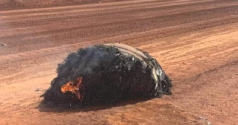 Kapsüllerine “uzay çöpü” çarpan üç astronot uzayda mahsur kaldı!