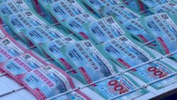 Milli Piyango’nun 800 milyon liralık büyük ikramiyesine rağbet yok: Tarihin en kötü günlerini yaşıyoruz, Cumhurbaşkanımıza bir dosya hazırlıyoruz