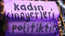 Sera Kadıgil: Bu ülkede kadın cinayetinde öldürülen kadınların yüzde 84’ü o çok savunduğunuz aileniz tarafından öldürüldü