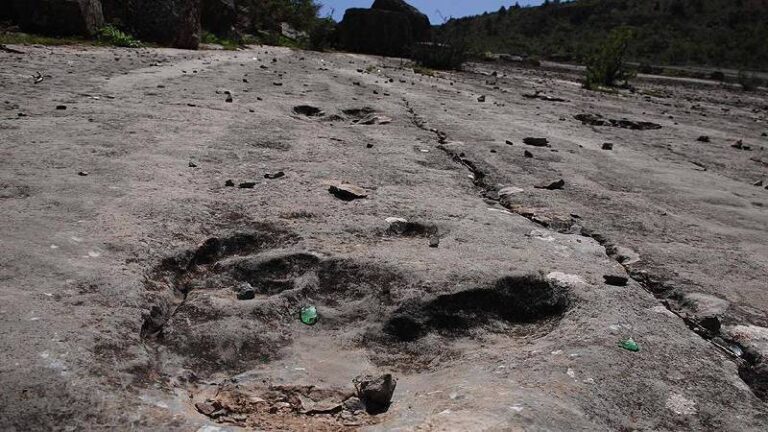 Bilim insanları, Bolivya’da dinozorlara ait 16 bin 600 ayak izi belgelediklerini duyurdu