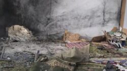 Humus’taki cami saldırısını, HTŞ’den ayrılanların kurduğu Ensar-ı Sünnet Tugayları üstlendi