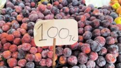 Üniversite İdari Personel Sendikası: Devletin memuru, pazar alışverişini yapamaz hale gelmiştir