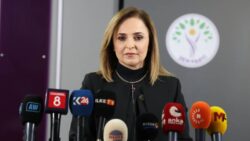 DEM Partili Doğan: Artık savaş istemiyoruz, gözyaşı istemiyoruz. Acı, kıyım, kırım, katliam istemiyoruz