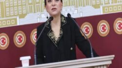 DEM Partili Koçyiğit: Diyar Koç’a refakat eden ve Kürt halkını sarı torbalarla tehdit eden hemşire için suç duyurusunda bulunuyoruz!
