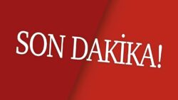 Dilek Kaya İmamoğlu’nun kardeşi Ali Kaya’nın ikinci uyuşturucu test sonucu çıktı