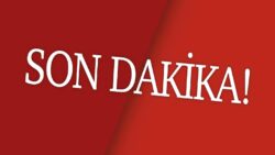 Erdoğan ve Zelenski telefonda görüştü