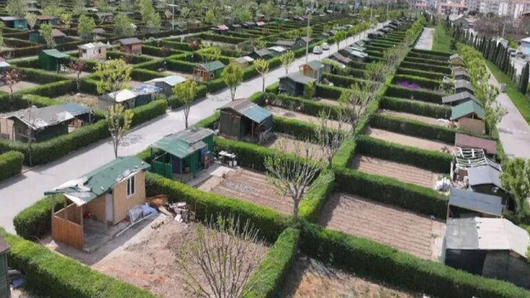Hobi bahçelerine yönelik denetimler artırılıyor; dört milyar liralık para cezası kesildi