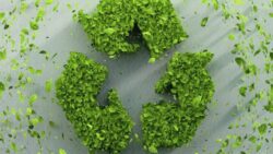 İklim Adaleti Koalisyonu: Sıfır atık üretim ve tüketim düzenine itiraz meselesidir