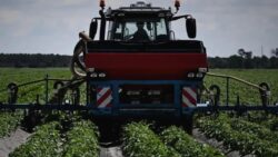 İran savaşı gıda güvenliğini nasıl etkileyebilir?