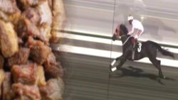 Mersin’deki kavurmanın içinden mikroçipi çıkan yarış atının sahibi konuştu: Hayır yapmaya çalışırken kötülüğe vesile olduk