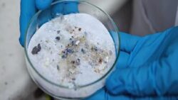 Mikroplastik uyarısı: Bir porsiyon yemekte 500 bine kadar parçacık olabilir!