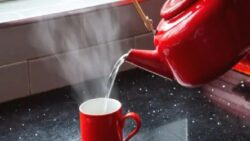 Sabahları sıcak su içmek gerçekten sağlığa faydalı mı?