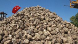 Şeker pancarı üretimine ilişkin kanun teklifi komisyonda kabul edildi
