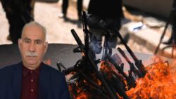 AKP kaynakları: “Terörsüz Türkiye” sürecinde yasal adımlardaki gecikmenin nedeni örgüt