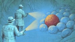 ‘Bilim kurgu gibi’: Yeni bağışıklık sistemi tedavileri kanserle nasıl savaşıyor?