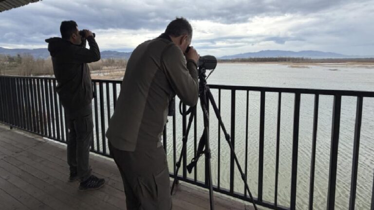 Doğa Koruma ve Milli Parklar uzmanlığında düzenleme