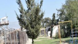 Güney Kıbrıs’ta Türkiye ve KKTC bayraklarının yakılmasına KKTC’den tepki: Nefret söylemleri,  adamızın geleceğini de riske atıyor