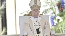 Papa 14. Leo: Binlerce insanın ölümüne kayıtsız kalıyoruz