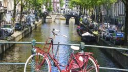Amsterdam’dan karbon nötr olma hamlesi: Et, uçak ve benzinli araç reklamlarına yasak